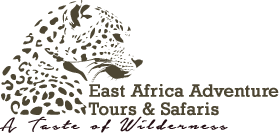 Kenya Tour and Safari Company