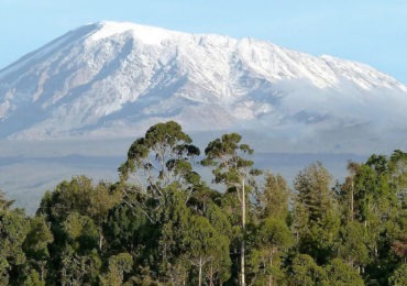 Read more about the article 7 Days Mt. Kilimanjaro Climbing Marangu Route