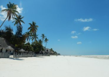 Read more about the article 11 Days Safari and Beach Holiday. Kenya, Tanzania and Zanzibar Tour Package