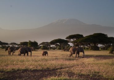 Read more about the article 8 Days Kenya Explorer Safari