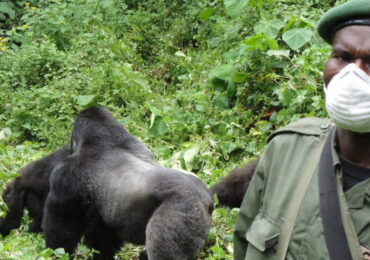 Read more about the article 18 Days Gorilla Trekking Safari plus Mt.Kilimanjaro Climbing