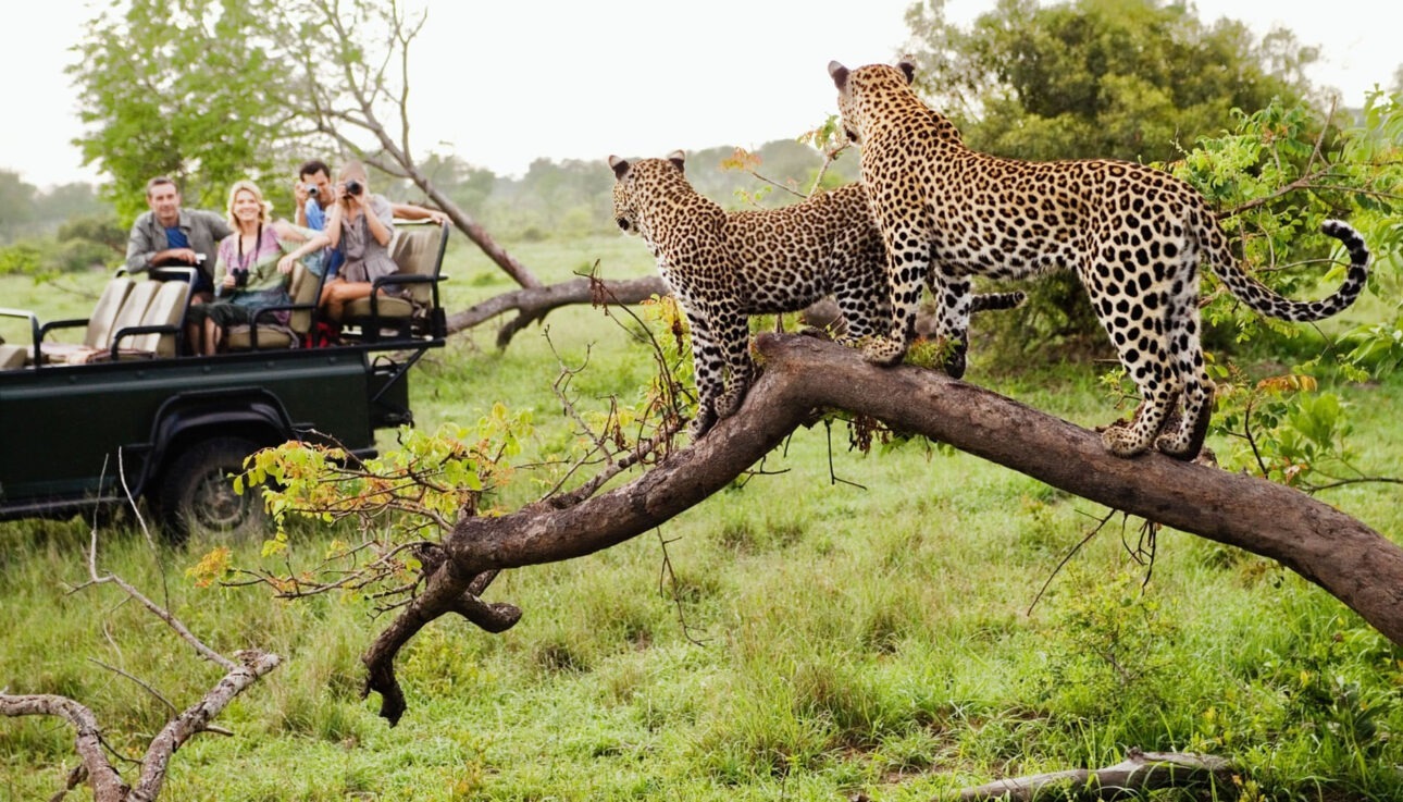 11 Days Safari: Victoria Falls, Chobe National Park and Kruger National ...