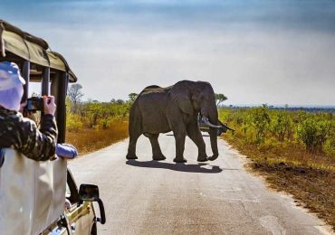 Read more about the article 3 Days Mombasa Tsavo East and Amboseli Safari