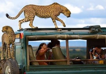 Read more about the article 18 Days East Africa Adventure Safari