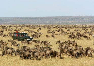 Read more about the article Maasai Mara National Reserve